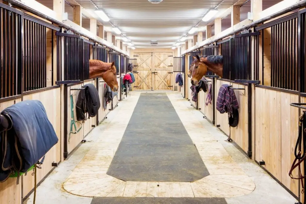 Best Stall Mats For Horses Horse Meta