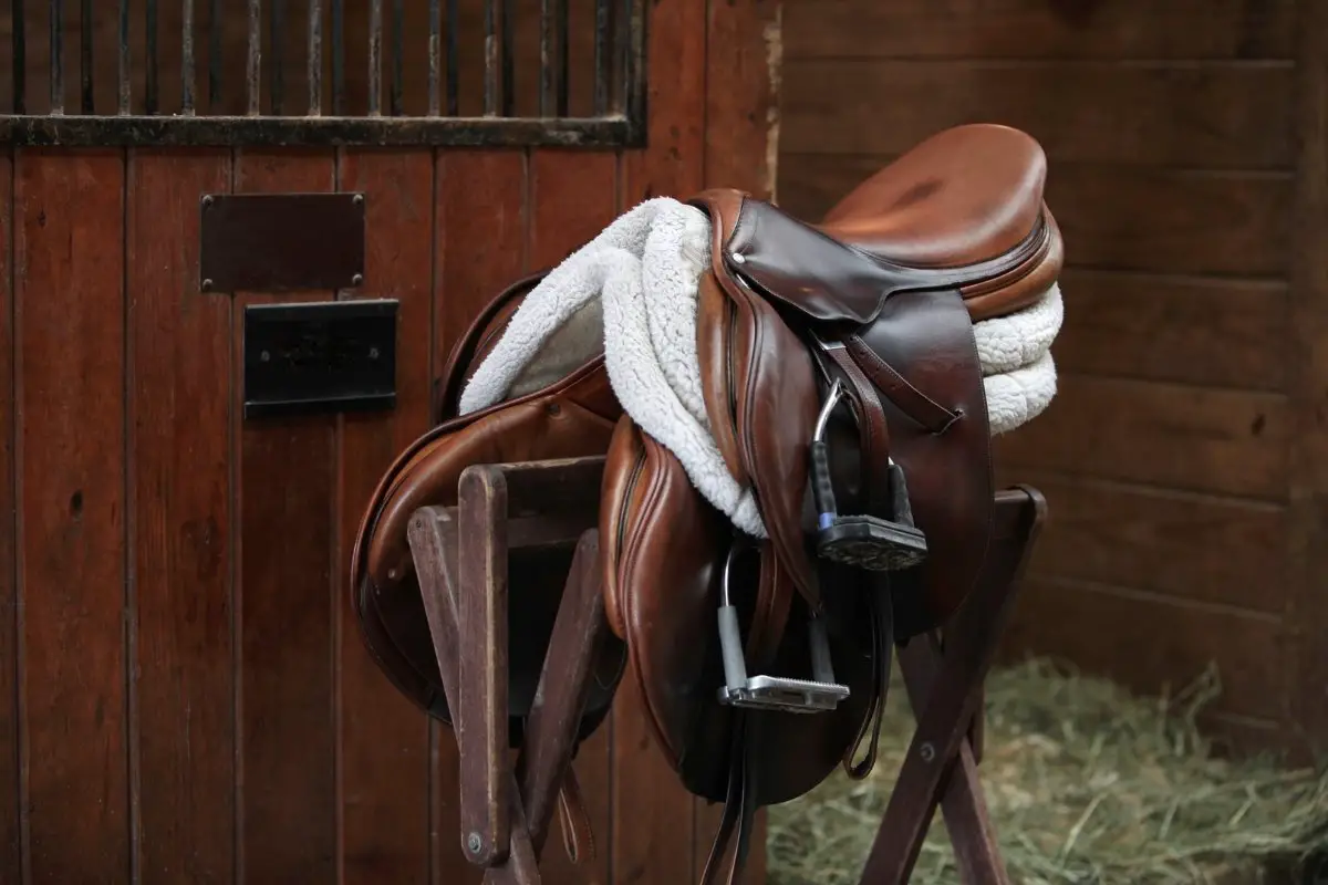 How To Measure The Gullet Of An English Saddle