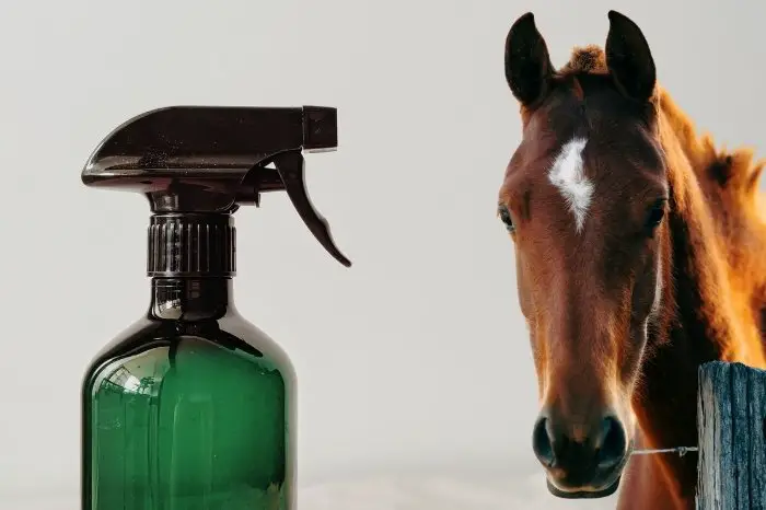 Natural Fly Spray For Horses