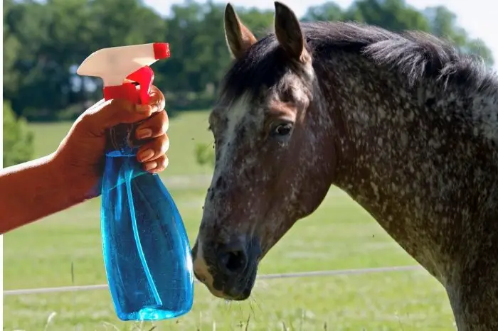 Prerequisites To Using Fly Spray On Your Horse