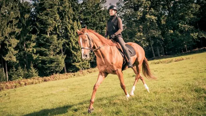 calories burned horse riding