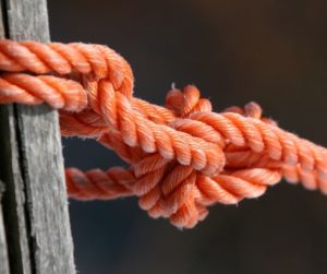 How To Tie A Quick Release Knot? - Horse Meta