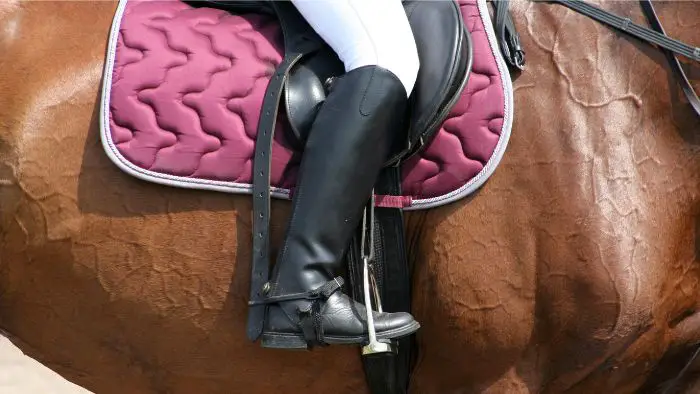  Are long or short boots better for horse riding?