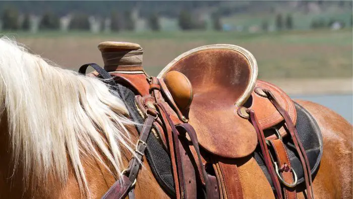  What is the Best Western saddle?