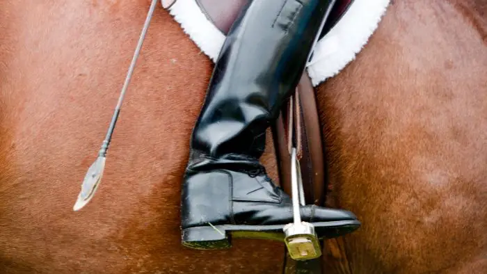  How long should horse riding jeans be?