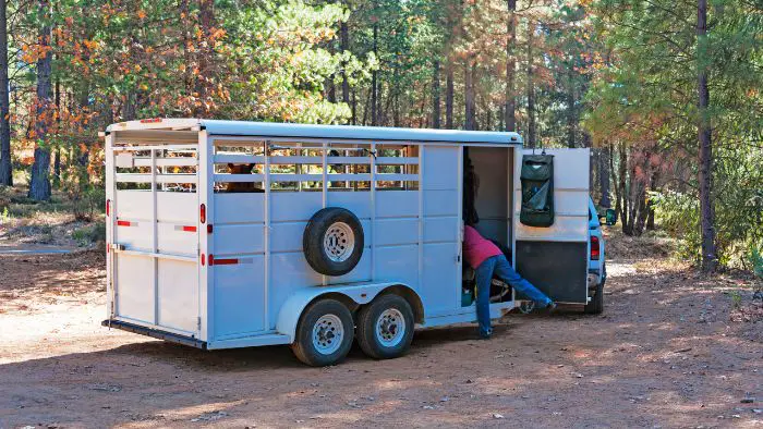  What are the top-rated horse trailers?