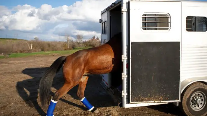  What is the average cost of a horse trailer?